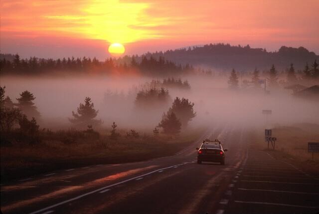 A car driving down a forested road into the sunrise